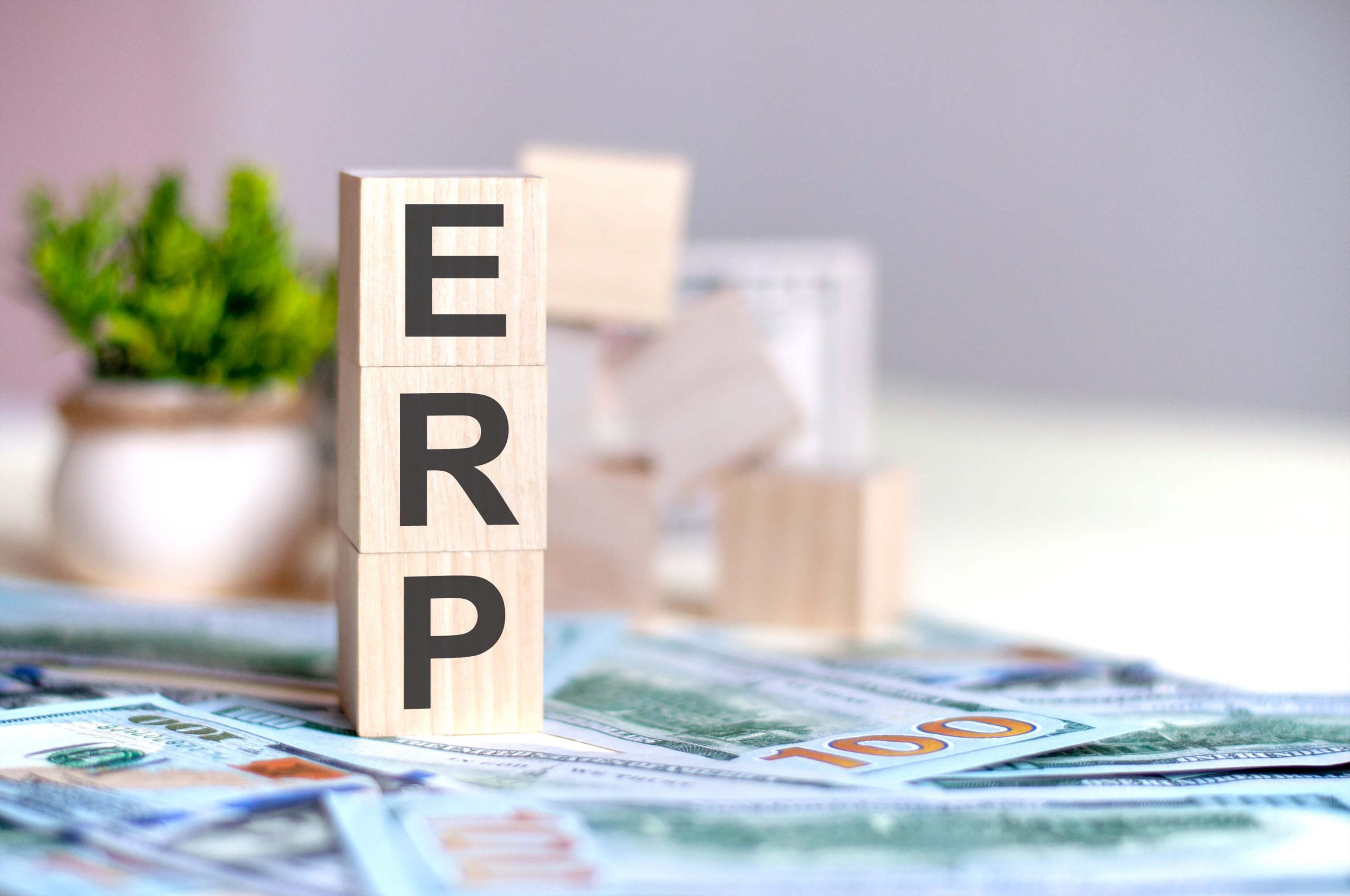 5 Most important things to consider while implementing educational ERP