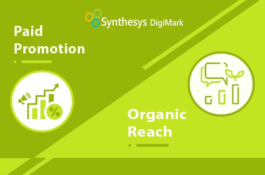 How to Integrate Paid and Organic Social Media into Your Strategy